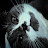 @TheHighborn's avatar
