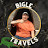 Bigle Travels