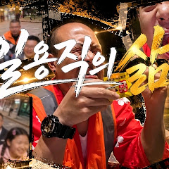애완모기2