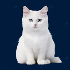 新しい物語を始める