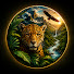 smZ6e2WZkIk-channel-avatar-Campo Selvagem Tv