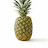 @Iamaspikyfruit Avatar
