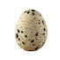 bmAKT46rgT0-channel-avatar-egg 
