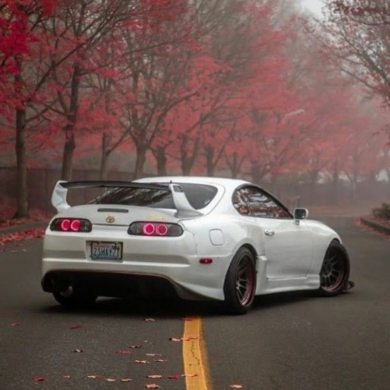 [Supra]