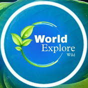 World Explore Wild
