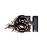 5_4lhP8wdFA-channel-avatar-Shoehabit 