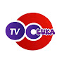 VIBE tv logo