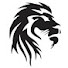 N7N31FBUpDE-channel-avatar-Lions CT
