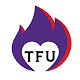 Twin Flames Universe