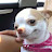 @뚜뚜붕가