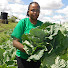 c5QMyAUTXzo-channel-avatar-Mbuvi Village Homestead