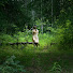 EBy4xzsaFgw-channel-avatar-Forestside Living Alaska