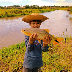 #Pescadores de Traíras channel logo