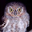 @eoeu-i1c