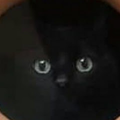 Rexor「レクソル」