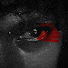 mwll2IIDWpA-channel-avatar-VITO$