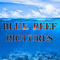 BLUE REEF PICTURES Avatar