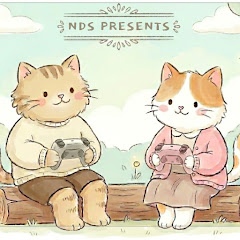 nds presents