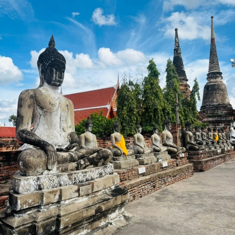 တရားတော်များ 