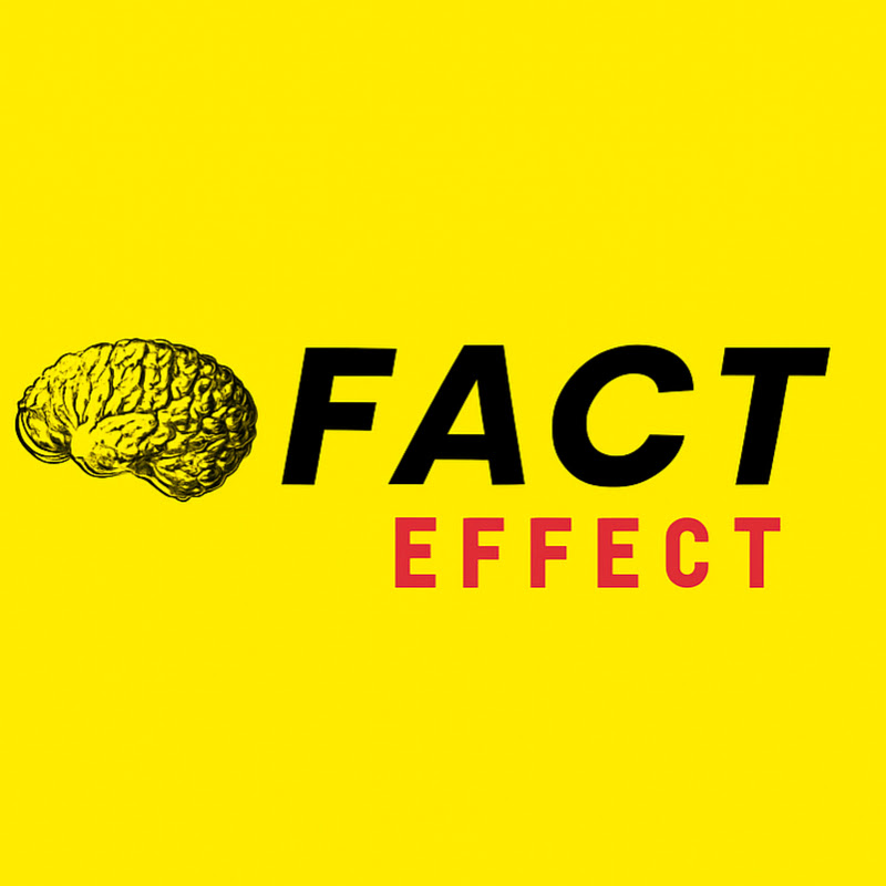 Fact Effect