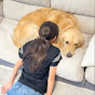 大型犬と平凡な暮らし