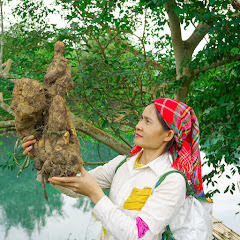 Lý Tú Linh