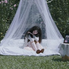 Hằng ssi y aries tis