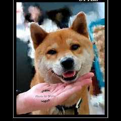 BEST BESTアイコン画像