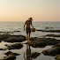 WdBcX2dBNZo-channel-avatar-Beach Forager