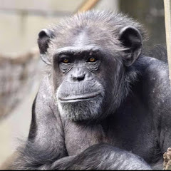動物園98年組