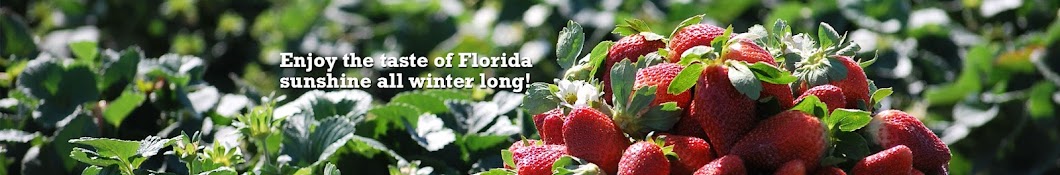 Florida Strawberry Growers Association YouTube 频道头像