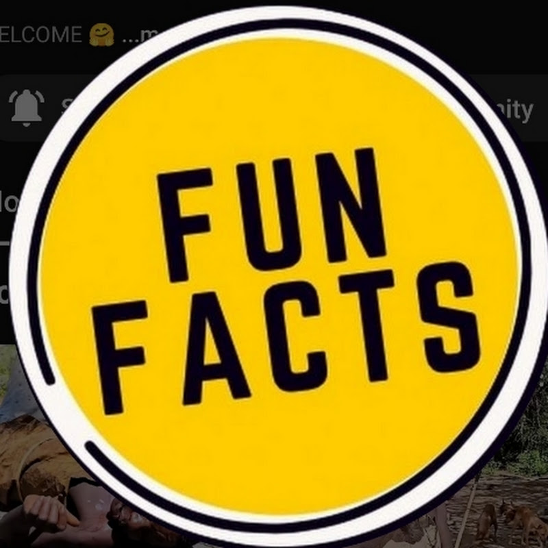 Fun Fact 2.O