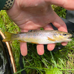 CW’s Fishing Adventures