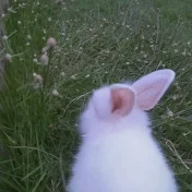 そしてアブ - وابو🤍