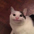 DZwc_iN8ZEw-channel-avatar-CrafteeCatRBLX