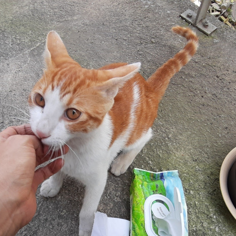 새롬하우스 Logo