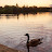 @faisal-kr2jy Avatar