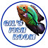 ddNnLE1OCiI-channel-avatar-Gil's Fish Room