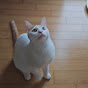 플레이우유^^(play_milk)
