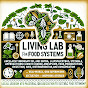 Food Systems Living Lab logo