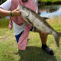 Florida_anglerz_south