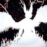 ziHEooUFOaA-channel-avatar-ceo