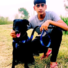 jaat dog kennel