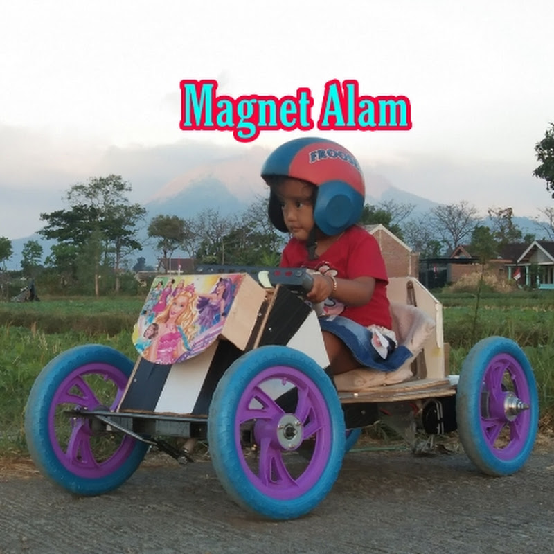 Magnet Alam