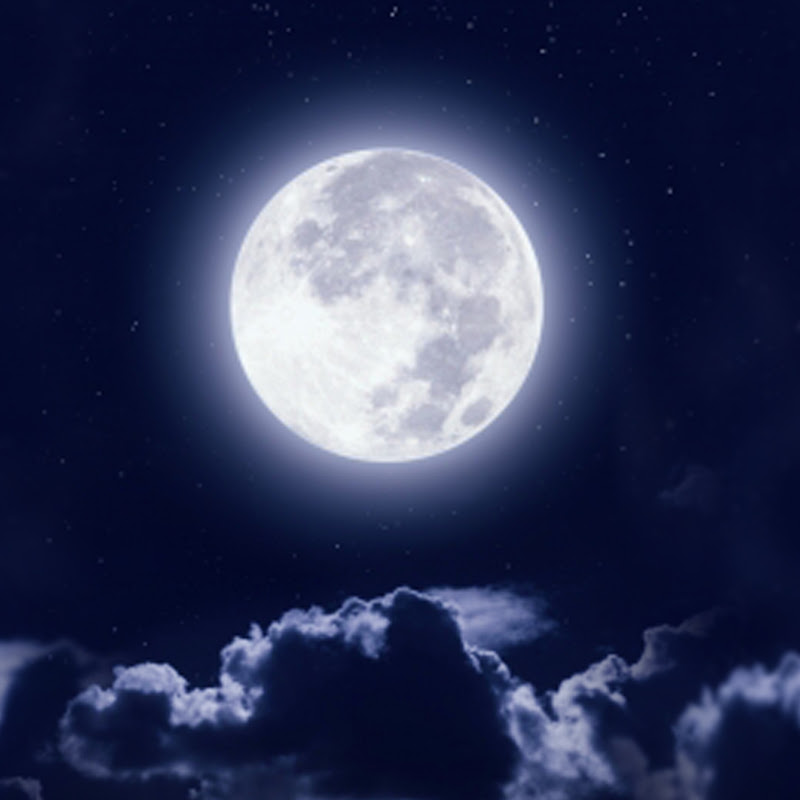 RestandRelaxationVids