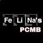 Fe Li Na'sPCMB logo
