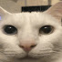 1mLsxGXxYbA-channel-avatar-fausrr