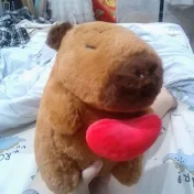 ꧁༺°Qii°нαкυуα꧁_꧂zυи ッ