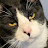 @CroatianSinsation Avatar
