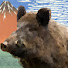 q6Zy_gSmFjI-channel-avatar-Nostalgic Japanese game house